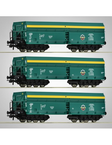 Roco 6600195 - Set 3 Vagons Tremuja Fads PTKiGK Època V-VI HO | Basar Valira Trens