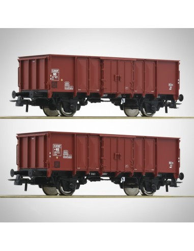 Roco 76136 - Set 2 vagones GTOW NS carbón real HO | Basar Valira Trens