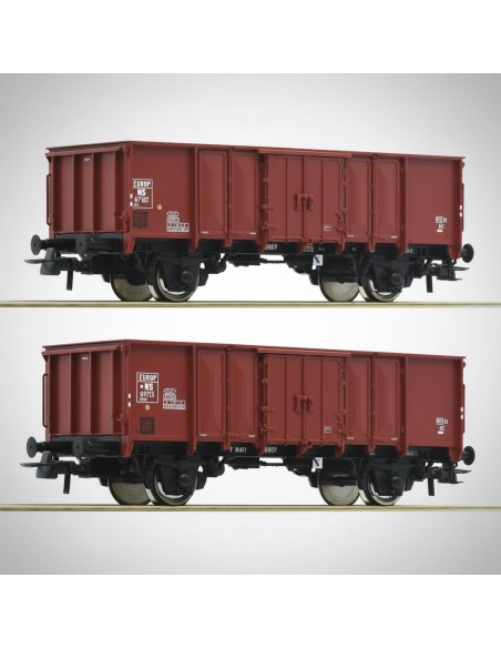 Roco 76136 - Set 2 vagons GTOW NS carbó real HO | Basar Valira Trens